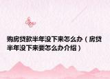 购房贷款半年没下来怎么办（房贷半年没下来要怎么办介绍）