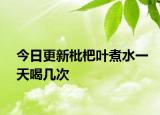 今日更新枇杷叶煮水一天喝几次