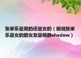 张家乐是男的还是女的（据说张家乐是女的前女友是杨静shadow）
