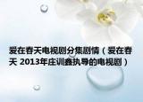 爱在春天电视剧分集剧情（爱在春天 2013年庄训鑫执导的电视剧）
