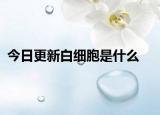 今日更新白细胞是什么