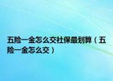 五险一金怎么交社保最划算（五险一金怎么交）