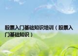 股票入门基础知识培训（股票入门基础知识）
