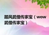 踏风武僧传家宝（wow武僧传家宝）
