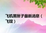 飞机黑匣子最新消息（飞镗）