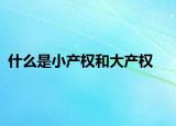 什么是小产权和大产权