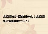 北京青年片尾曲叫什么（北京青年片尾曲叫什么??）