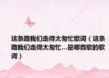 这条路我们走得太匆忙歌词（这条路我们走得太匆忙…是哪首歌的歌词）