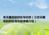 冬天熏蒸的好处与功效（三伏天熏蒸的好处与功效详细介绍）