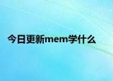 今日更新mem学什么