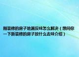 刚装修的房子地漏反味怎么解决（想问你一下新装修的房子放什么去味介绍）