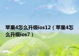 苹果4怎么升级ios12（苹果4怎么升级ios7）