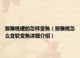 猕猴桃硬的怎样变熟（猕猴桃怎么变软变熟详细介绍）