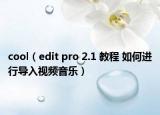 cool（edit pro 2.1 教程 如何进行导入视频音乐）