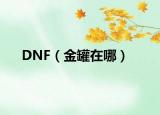 DNF（金罐在哪）