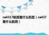 ca4317航班是什么机型（ca437是什么航班）