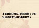 小龙虾哪些部位不能吃图解（小龙虾哪些部位不能吃详细介绍）