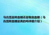 马齿苋是降血糖还是稳定血糖（马齿苋降血糖是真的吗详细介绍）