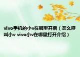 vivo手机的小v在哪里开启（怎么呼叫小v vivo小v在哪里打开介绍）