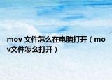 mov 文件怎么在电脑打开（mov文件怎么打开）