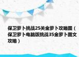保卫萝卜挑战25关金萝卜攻略图（保卫萝卜电脑版挑战35金萝卜图文攻略）