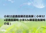 小米11是曲面屏还是直屏（小米12x是曲面屏吗 小米12x屏幕是直屏吗介绍）