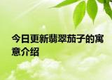 今日更新翡翠茄子的寓意介绍