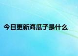 今日更新海瓜子是什么