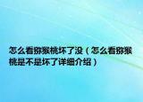 怎么看猕猴桃坏了没（怎么看猕猴桃是不是坏了详细介绍）
