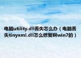 电脑utility.dll丢失怎么办（电脑丢失tinyxml.dll怎么修复啊win7的）