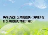 决明子配什么减肥最快（决明子配什么减肥最好详细介绍）