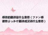 感恩的翻译是什么意思（ファン感谢祭ぶっかけ翻译成汉语什么意思）