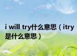i will try什么意思（itry是什么意思）