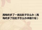 西梅吃多了一直拉肚子怎么办（西梅吃多了拉肚子怎么办详细介绍）