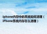 iphone内存中的系统如何清理（iPhone系统内存怎么清理）