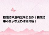 核酸结果没有出来怎么办（核酸结果不显示怎么办详细介绍）