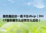 服务器启动一直卡在dhcp（DHCP服务器怎么设置怎么启动）