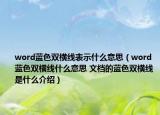 word蓝色双横线表示什么意思（word蓝色双横线什么意思 文档的蓝色双横线是什么介绍）