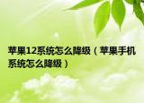 苹果12系统怎么降级（苹果手机系统怎么降级）