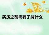 买房之前需要了解什么