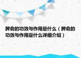 脾俞的功效与作用是什么（脾俞的功效与作用是什么详细介绍）