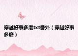 穿越好事多磨txt番外（穿越好事多磨）