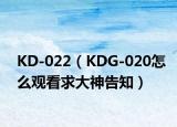 KD-022（KDG-020怎么观看求大神告知）