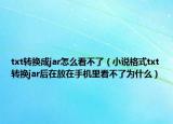 txt转换成jar怎么看不了（小说格式txt转换jar后在放在手机里看不了为什么）