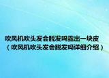 吹风机吹头发会脱发吗露出一块皮（吹风机吹头发会脱发吗详细介绍）