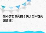 岳不群怎么死的（关于岳不群死因介绍）