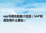 sap与用友的最大区别（SAP和用友有什么差别）