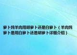 萝卜炖羊肉用胡萝卜还是白萝卜（羊肉炖萝卜是用白萝卜还是胡萝卜详细介绍）