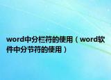word中分栏符的使用（word软件中分节符的使用）