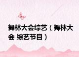 舞林大会综艺（舞林大会 综艺节目）